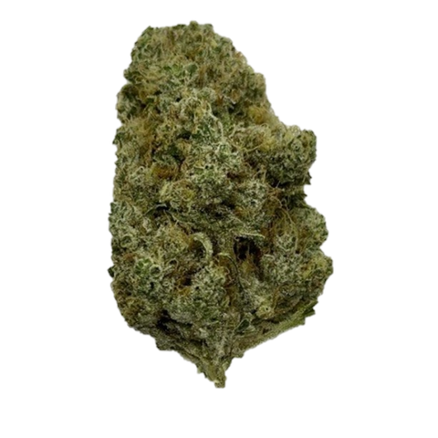Frosted Platin Girl Strain