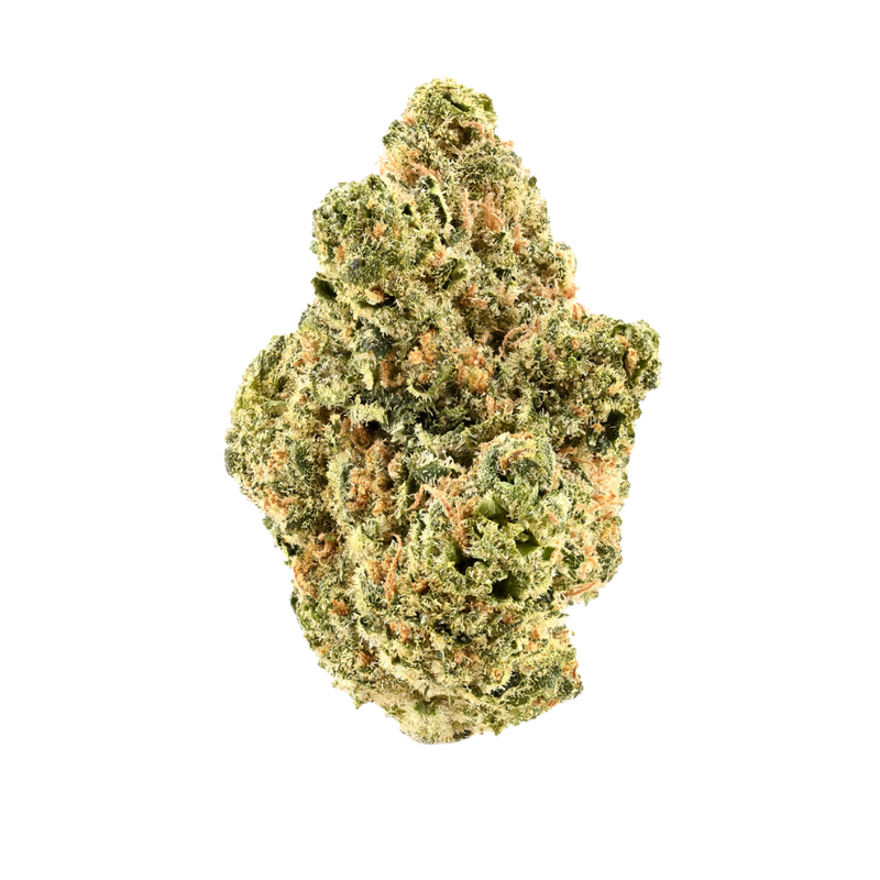 SFV CHEM OG