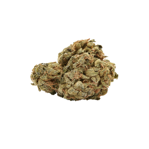 Hindu Kush Strain