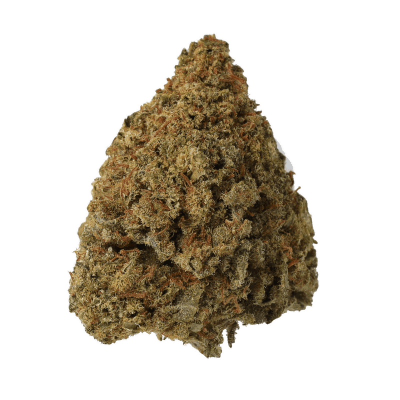 Creamy Kees No. 5