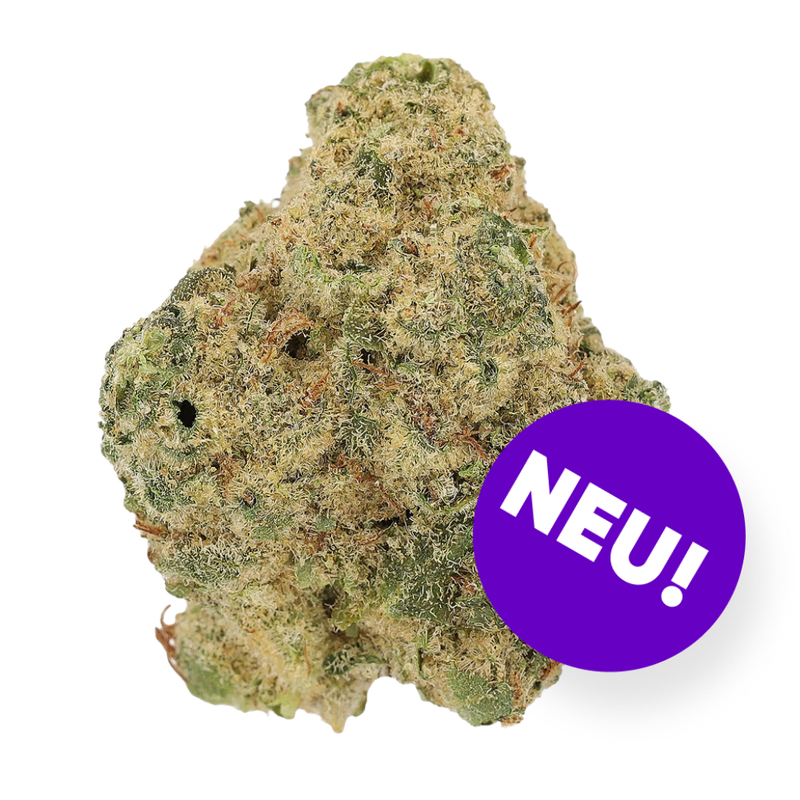 Sour Kush