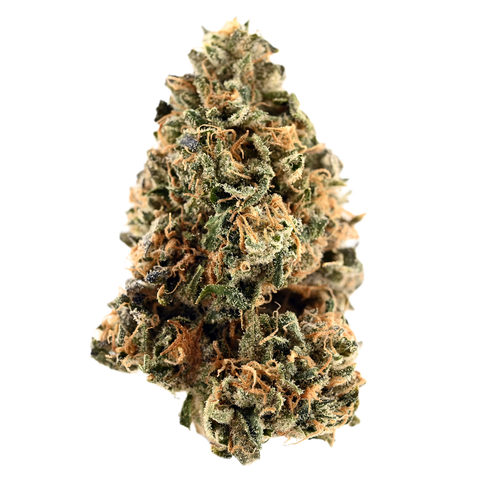 Liquid Imagination Strain