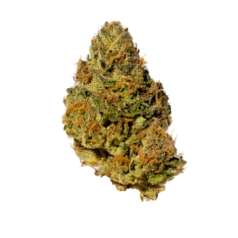 Wildcat Amber Strain