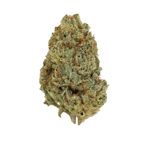 Rainbow Sherbet Strain