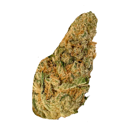 Tamarindo Strain
