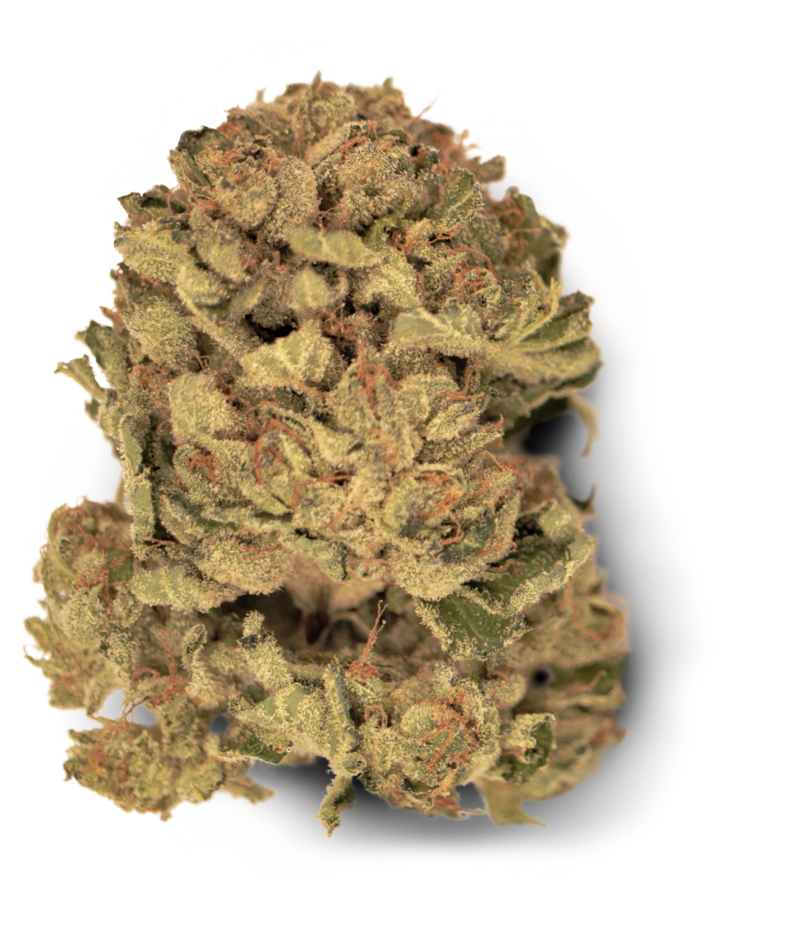 Tilray THC 18 Spotlight Porto