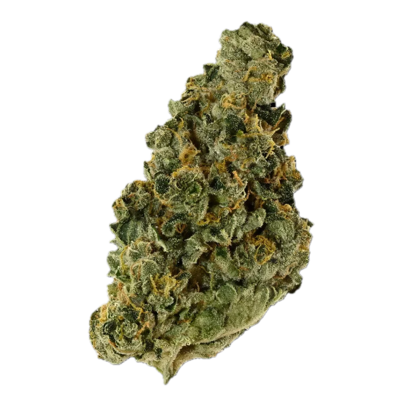 Jet Fuel Cake