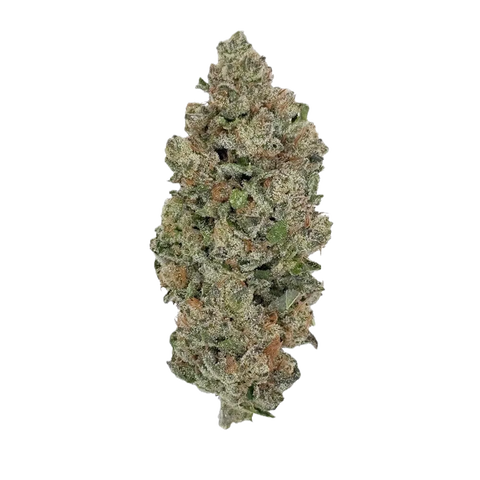 Ozark Strain