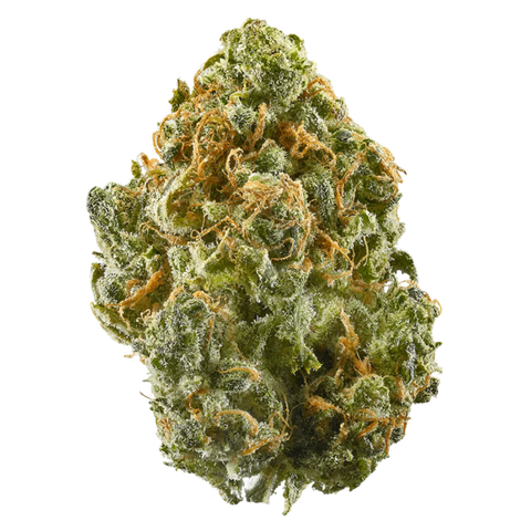 Lemon Sorbet Strain