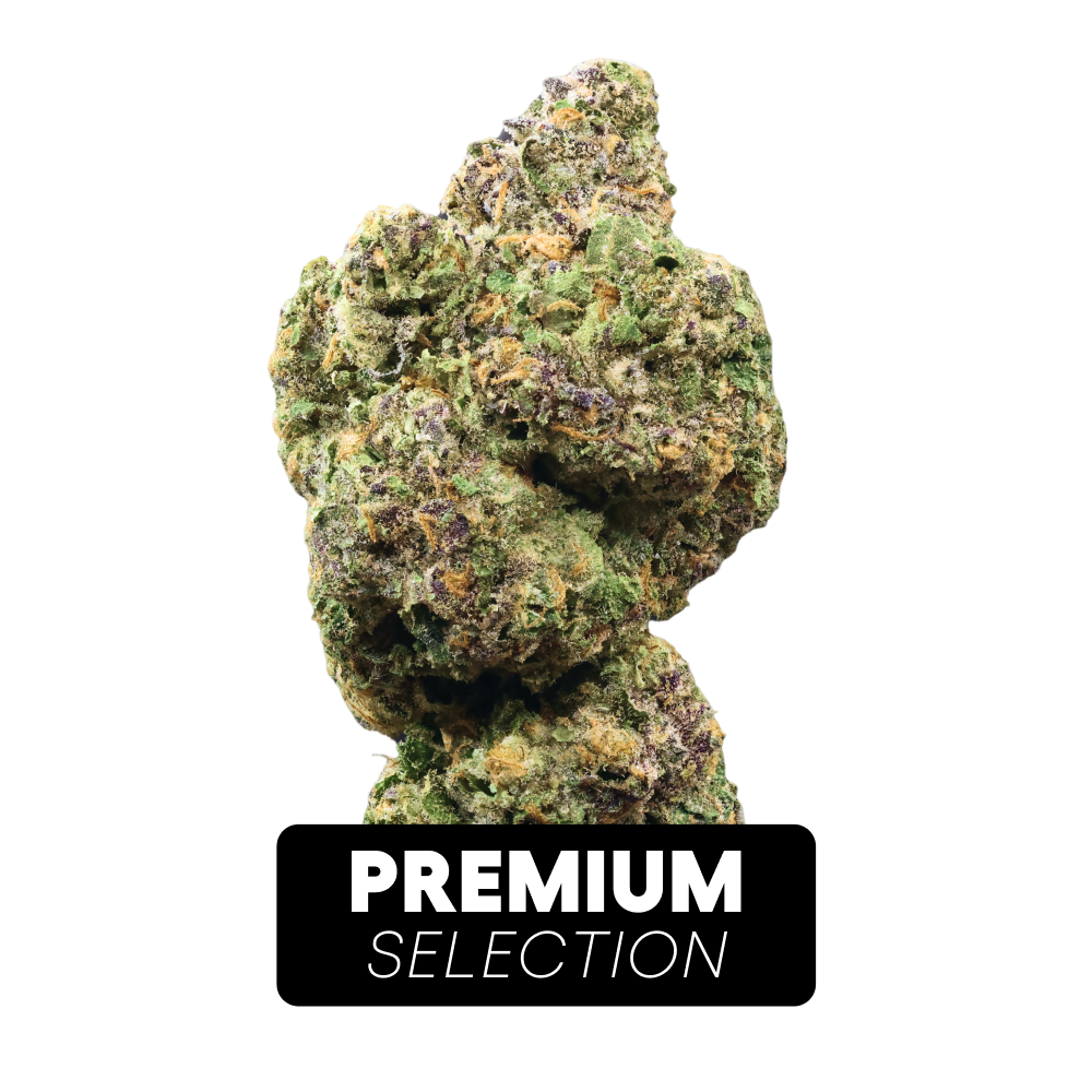 Demecan CRAFT Cali 29:01