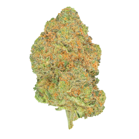 Black Jelly Strain