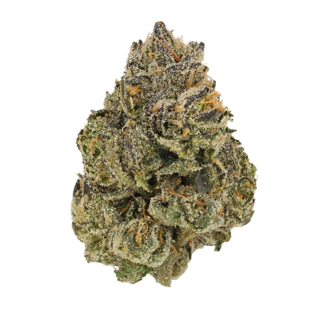 Midnight Lotus Strain