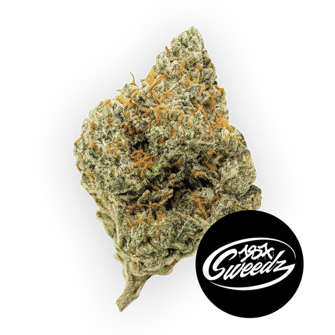 24k Strain