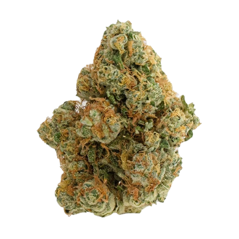 Gary Payton X Gushers Strain