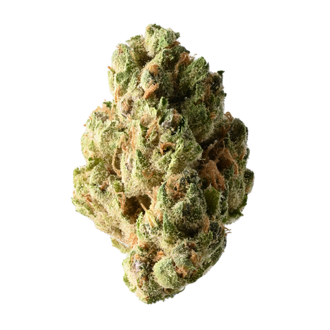 Black Orange Punch Strain