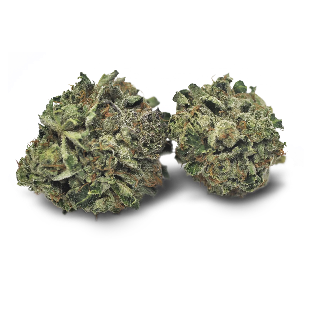 Tilray THC 18 Spotlight Porto