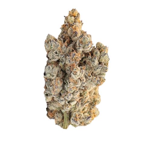 SFV OG × Candy Rai Strain
