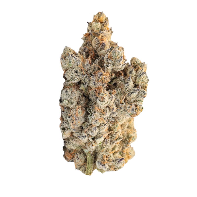 SFV OG × Candy Rai