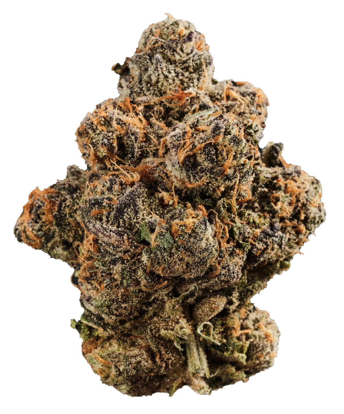 420 Compound 30/1 CA GAP