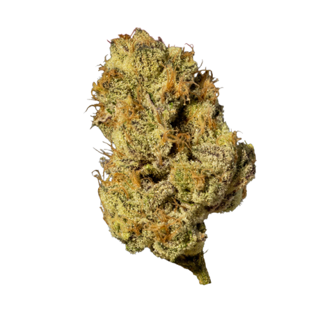 Mintz Burger Strain