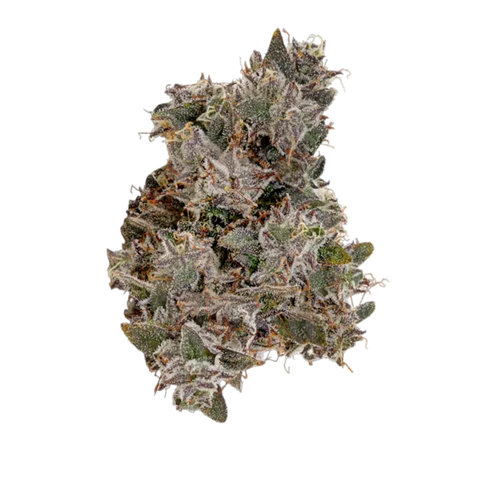 El Gordo Strain