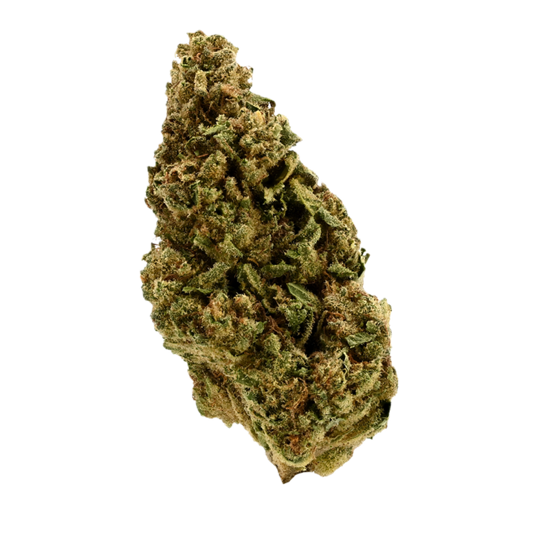 Rainbow Dawg