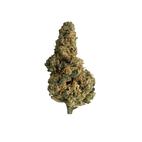 Animal Cookies Strain