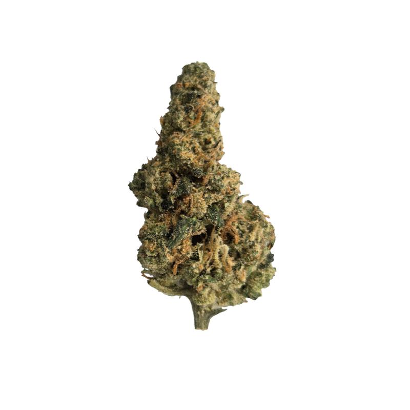 Animal Cookies