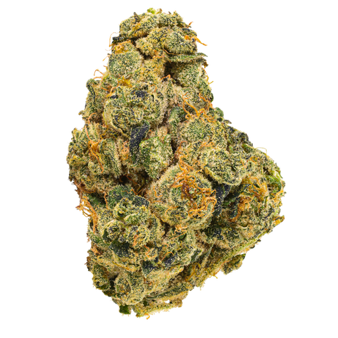 UK Cheddar Cheese Strain