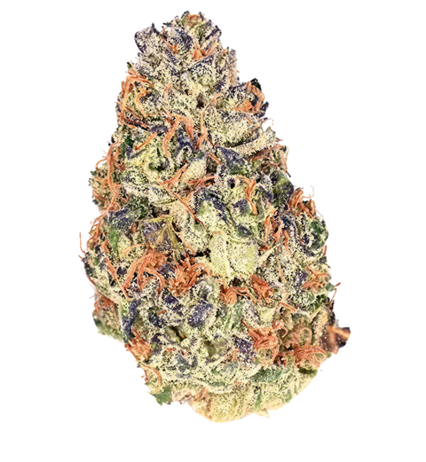 Pave X Gastro Pop Strain