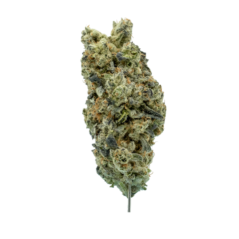 Pacific OG Strain