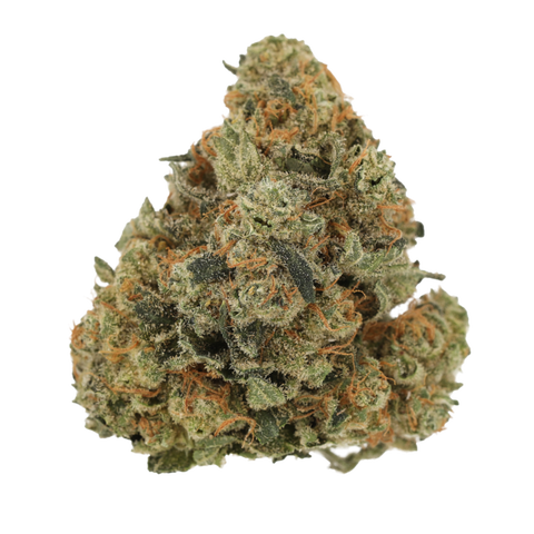 Girl Scout Cookies Strain