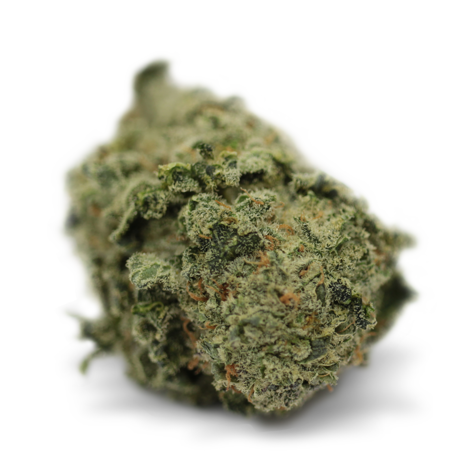 Tilray THC 18 Spotlight Porto