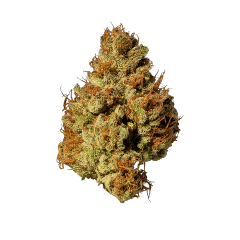 Devil Driver Strain