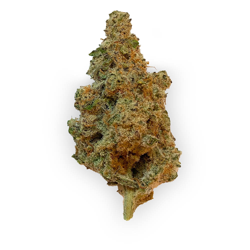 420 Evolution 22/1 CA MAC