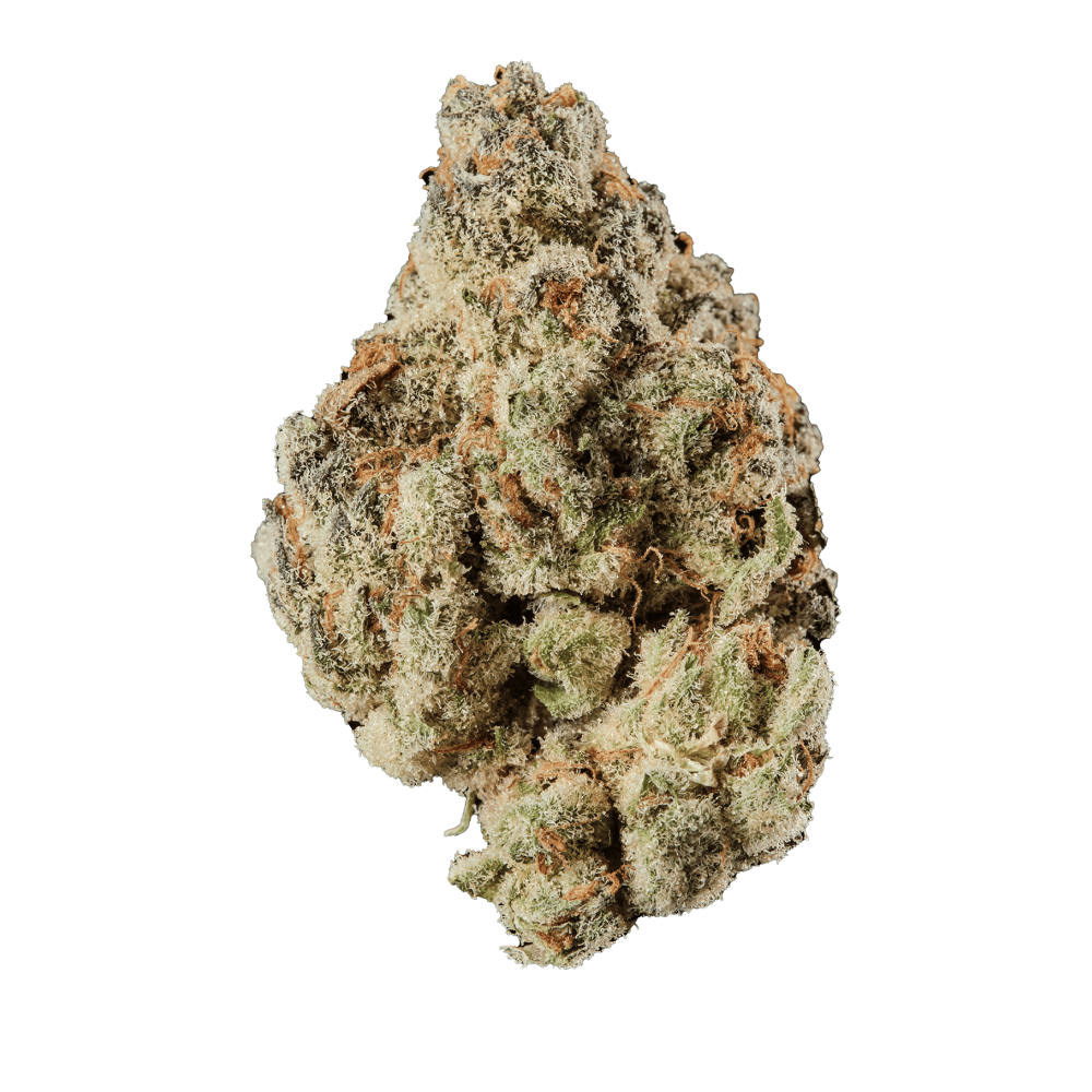 420 Evolution 25/1 CA UNC