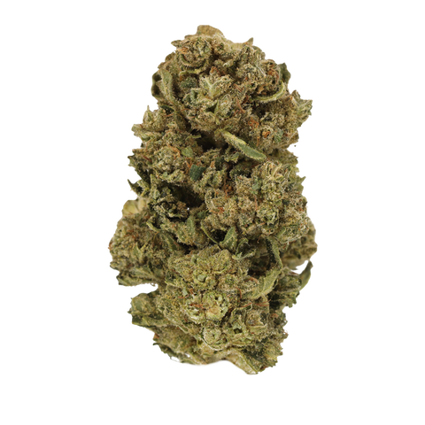 Starhaze OG Strain