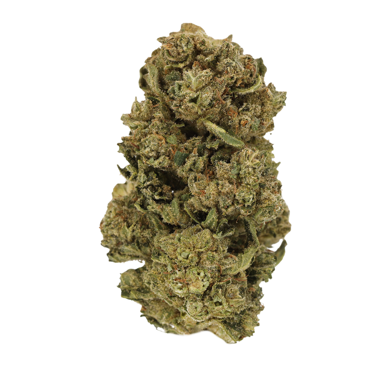 Starhaze OG