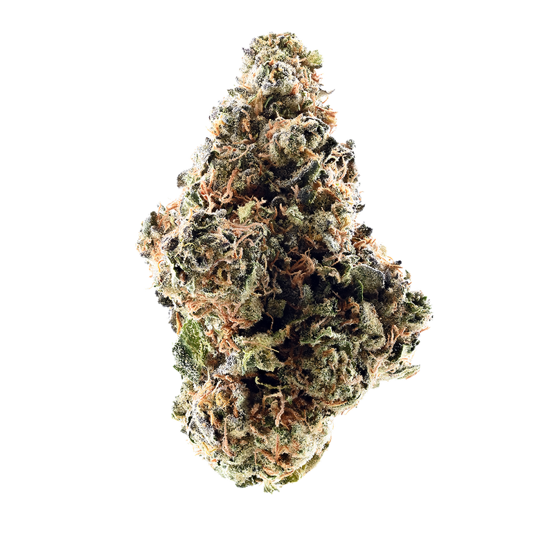 Jokerz 31 X Gastro Pop
