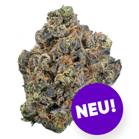Berry Arctic Gelato Strain