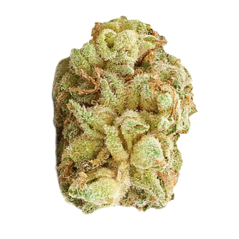 White Fire Strain