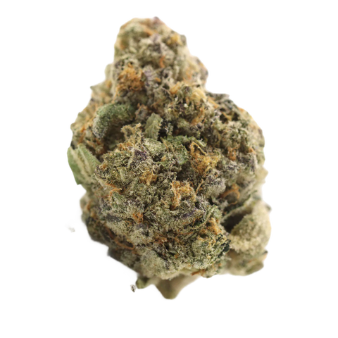 Pavé S1 Strain