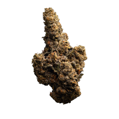 Gastro Pop Ultra Strain