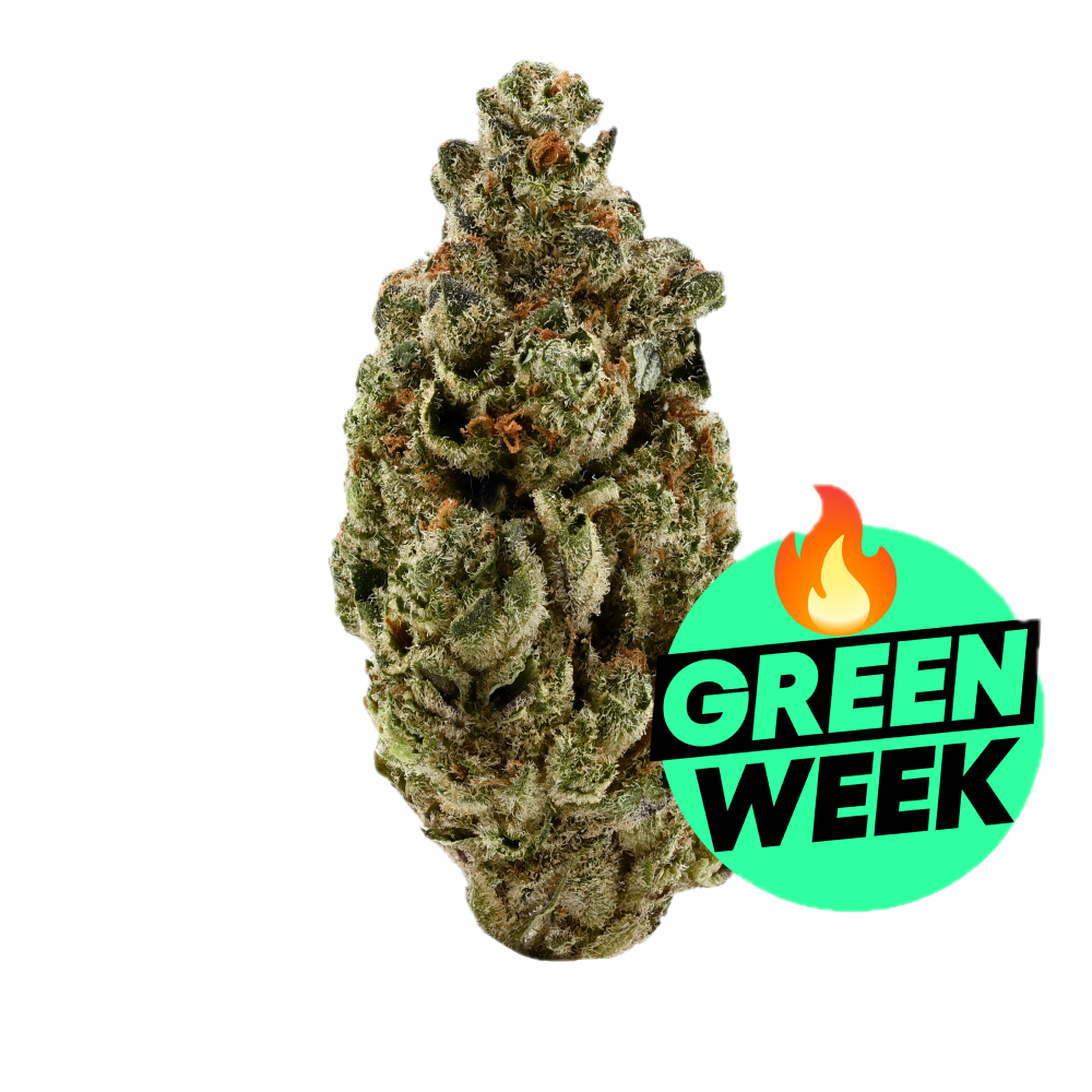 Demecan Regular Drop