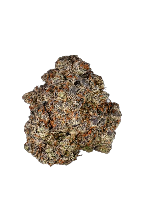 Alexander The Great Strain