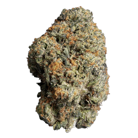 Jet Fuel Gelato Strain