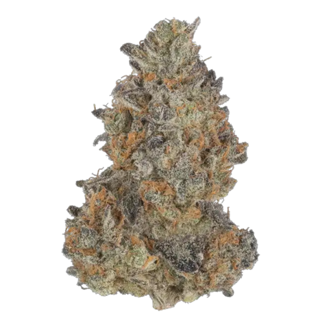 Chocolate Mint OG 2.0 Strain