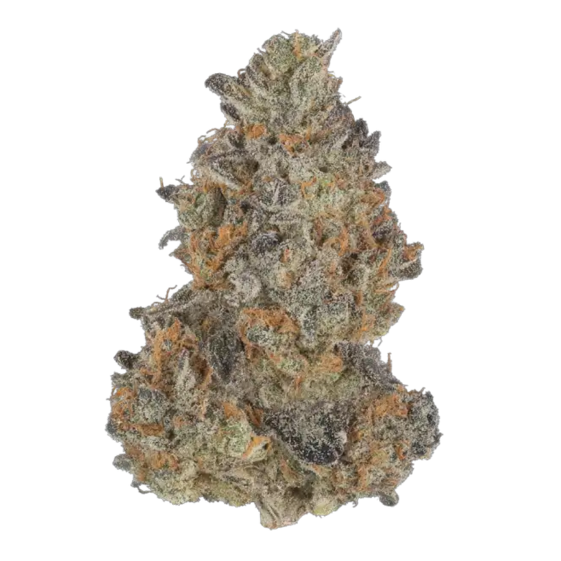 Chocolate Mint OG 2.0