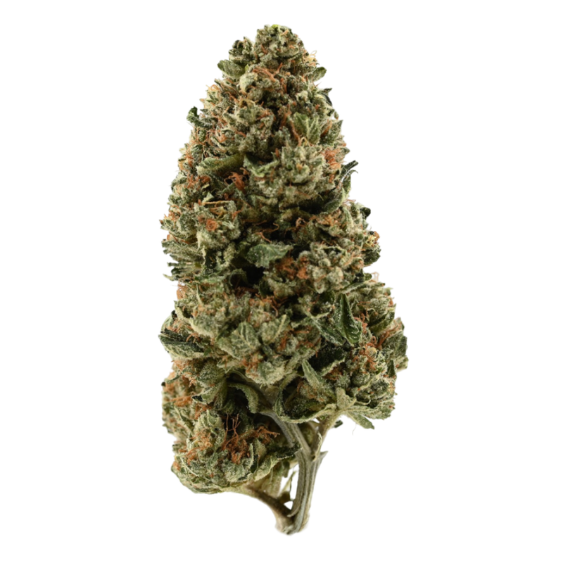 Orange Juice X Girl Scout Cookies