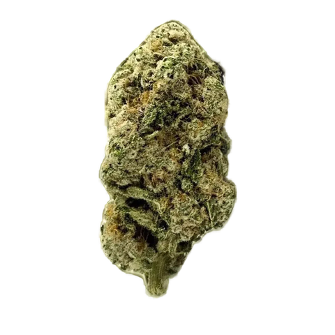 Alienmax Strain